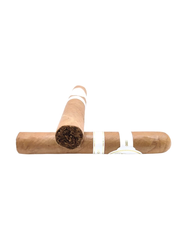 Davidoff Signature 6000