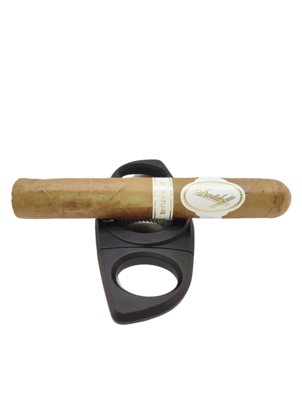 Davidoff Signature 6000