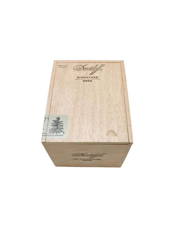 Davidoff Signature 6000