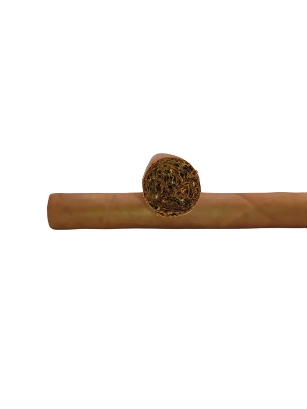 Cohiba Lanceros