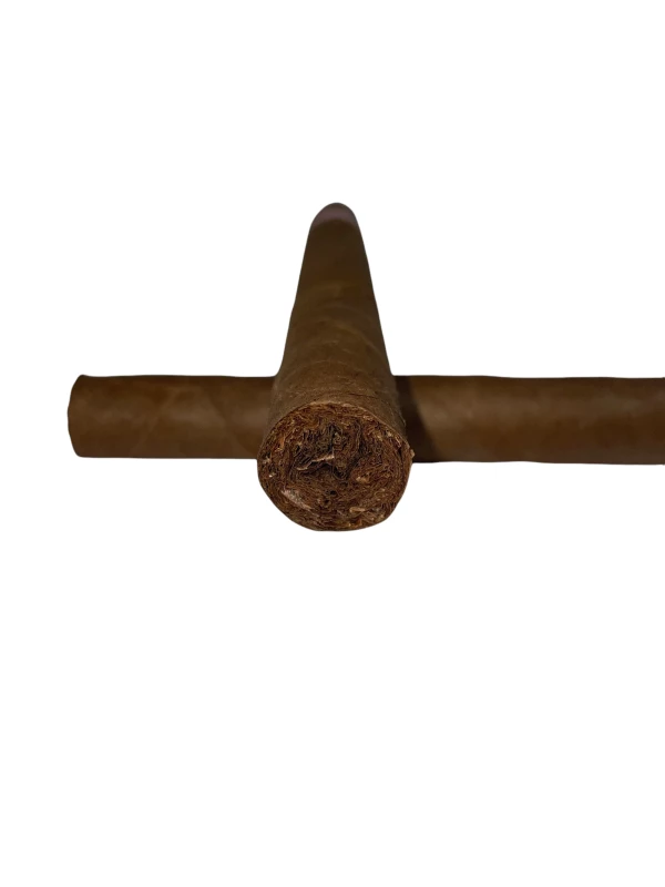 Partagas Lusitanias
