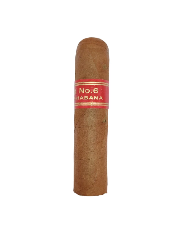 Partagas Serie D № 6