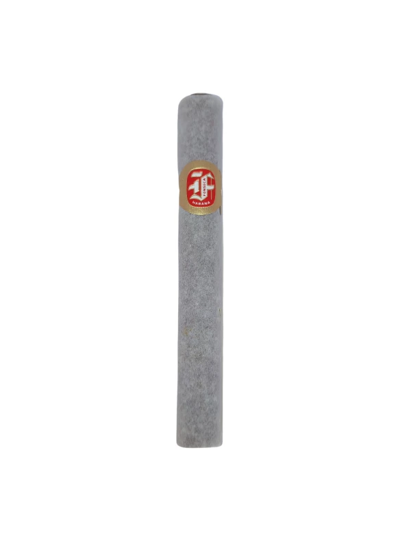 Fonseca KDT Cadetes