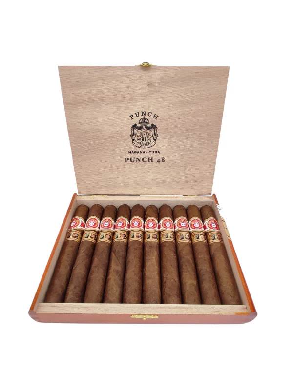 Punch Punch 48 LCDH