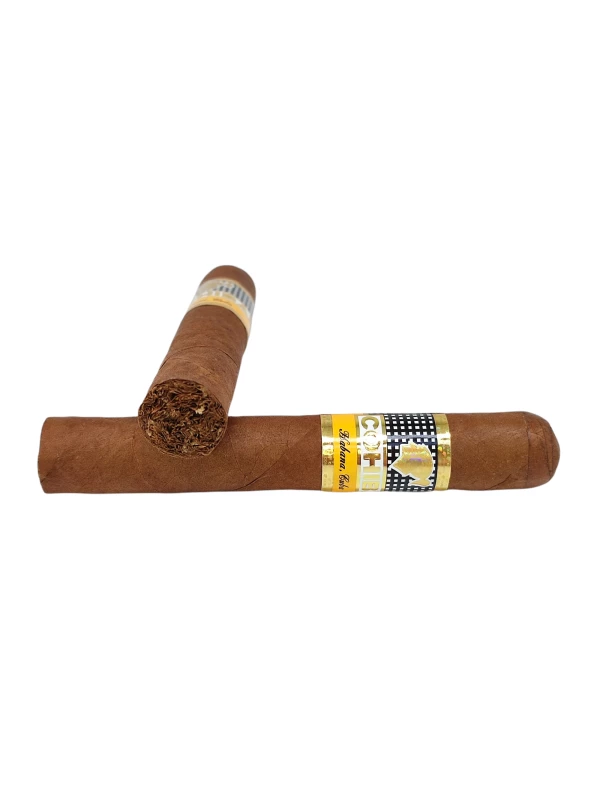 Cohiba Siglo I