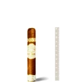 Plasencia Reserva Original Robusto — фото 1