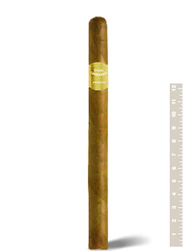 Por Larranaga Montecarlos