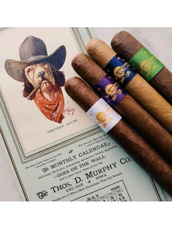 Principle Cigars Accomplice Classic Robusto