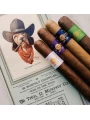 Principle Cigars Accomplice Classic Robusto — фото 2