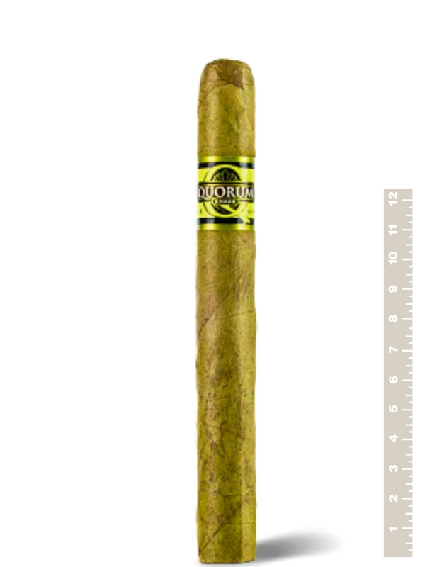 Quorum Shade Toro