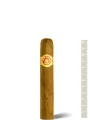Ramon Allones Specially Selected — фото 1