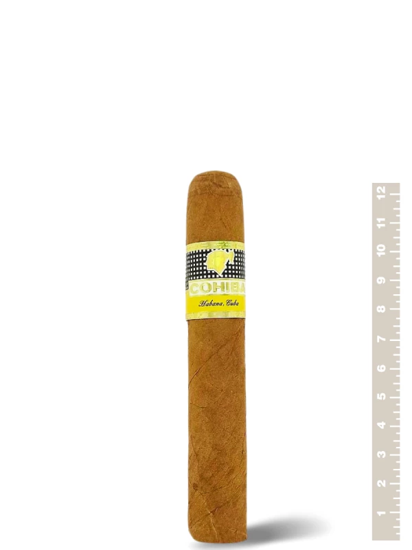 Cohiba Robustos