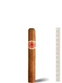 Romeo Y Julieta Regalias De Londres — фото 1