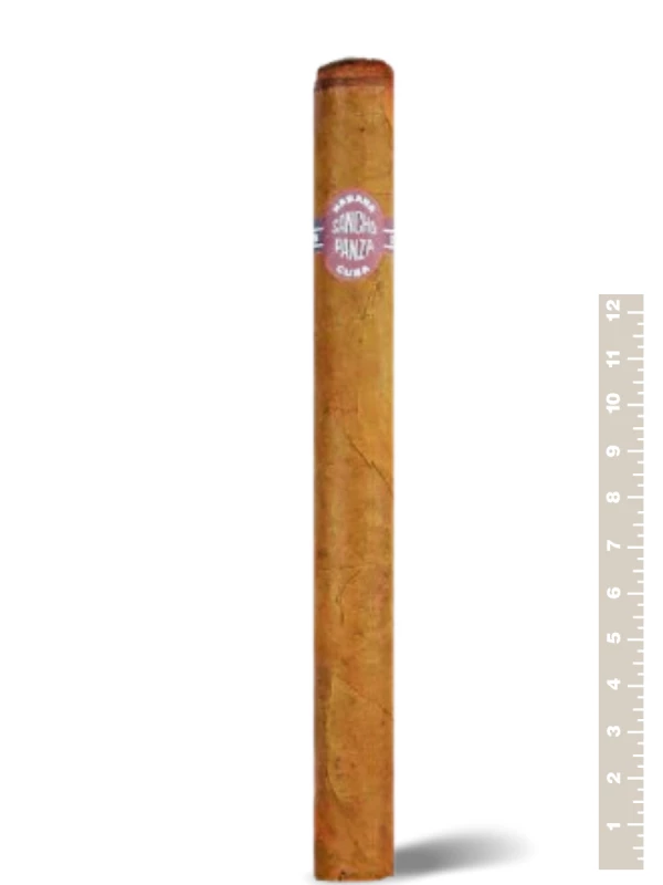 Sancho Panza Molinos