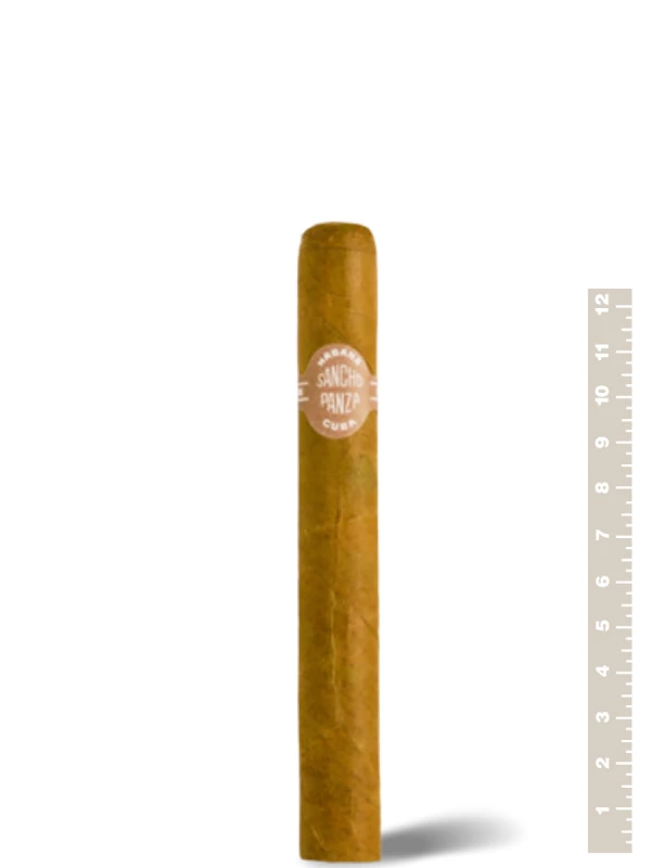 Sancho Panza Non Plus