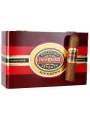 Perdomo Inmenso Seventy Robusto Sun Grown — фото 2