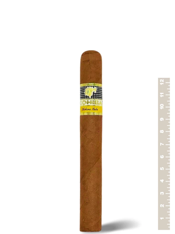 Cohiba Siglo IV