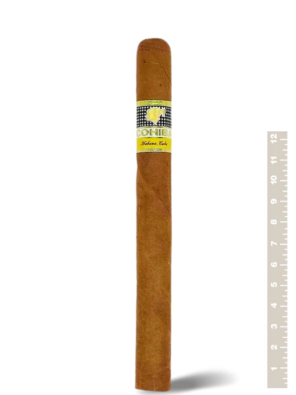 Cohiba Siglo V
