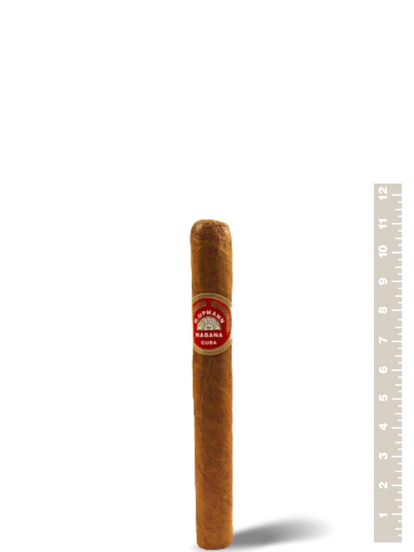 H. Upmann Epicures