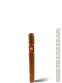 H. Upmann Epicures — фото 1
