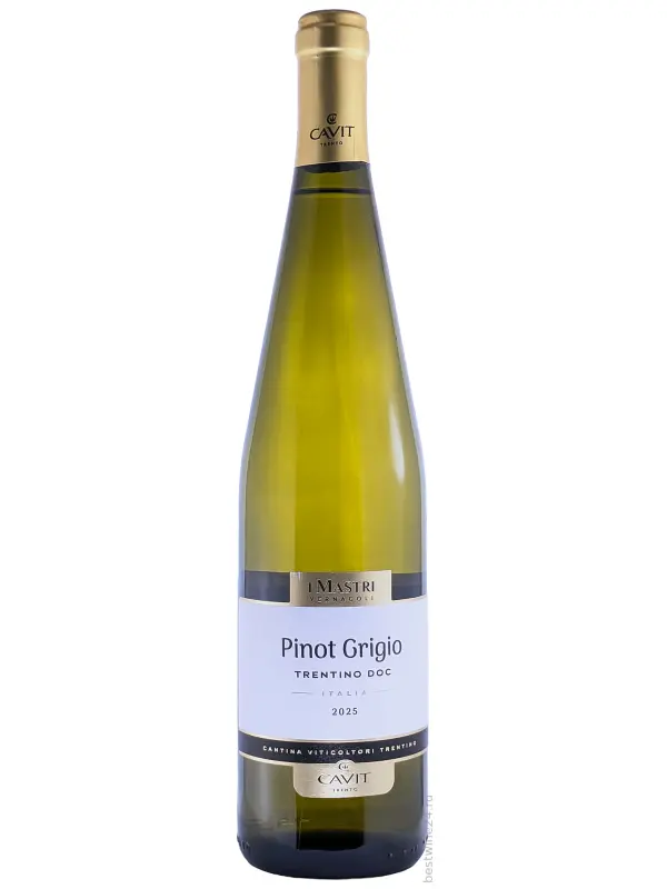 Mastri Vernacoli Pinot Grigio, Trentino DOC