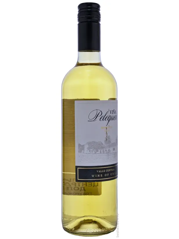 Vina Pelequen Moscato, Central Valley DO