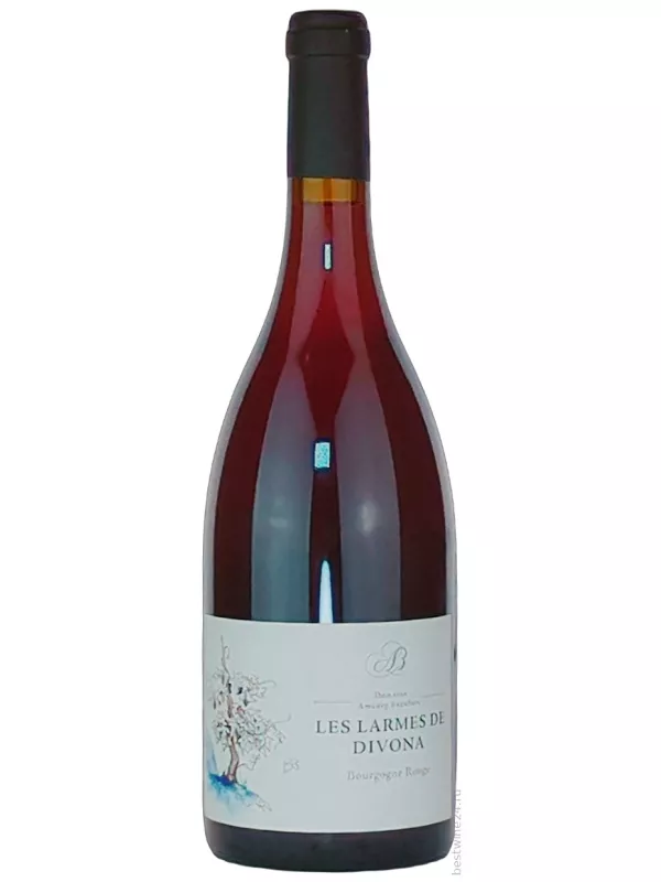 Domaine Amaury Beaufort, Les Larmes de Divona Bourgogne Rouge
