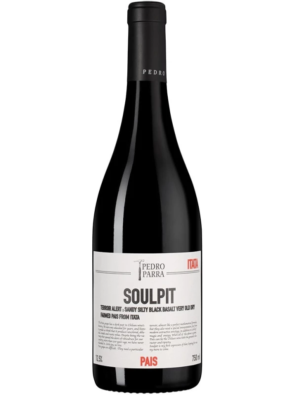 Pedro Parra y Familia, Soulpit