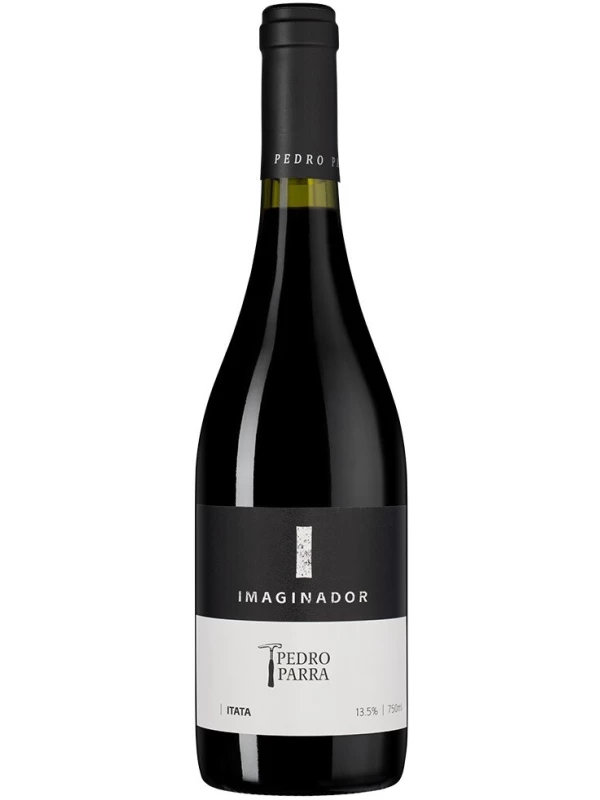 Pedro Parra y Familia, Imaginador