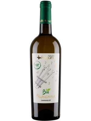 Вино Fattoria Pagano, Falanghina Bio, Campania IGT 2023, 0.75 л