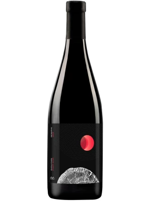 Вино Aya Organic Wine, Evolution Reserve Pinot Noir 2023, 0.75 л