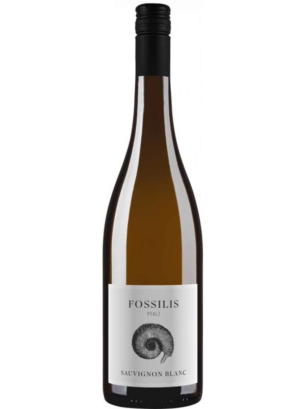 Weingut Pfluger, Fossilis Sauvignon Blanc