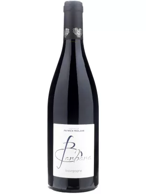 Вино Domaine Patrick Miolane, Bourgogne Cuvee Barbara AOC 2023, 0.75 л