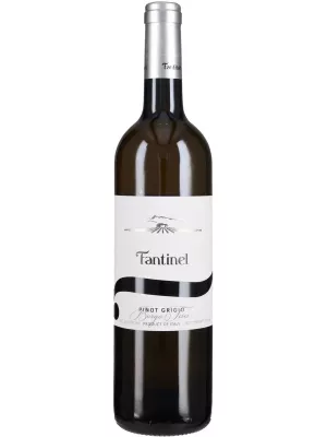 Вино Borgo Tesis Pinot Grigio, Friuli DOC 2024, 0.75 л