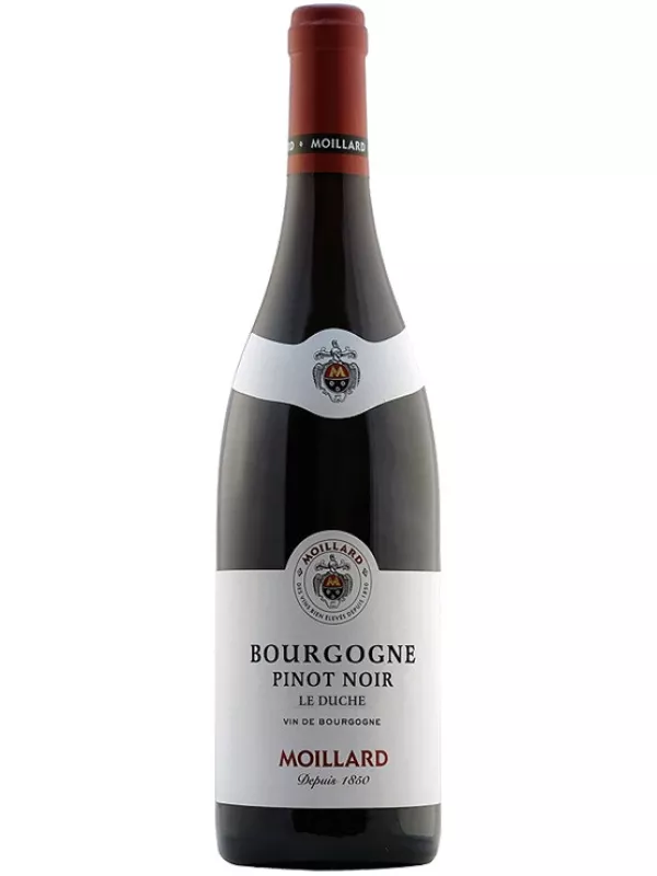 Moillard, Bourgogne Pinot Noir Le Duche AOC