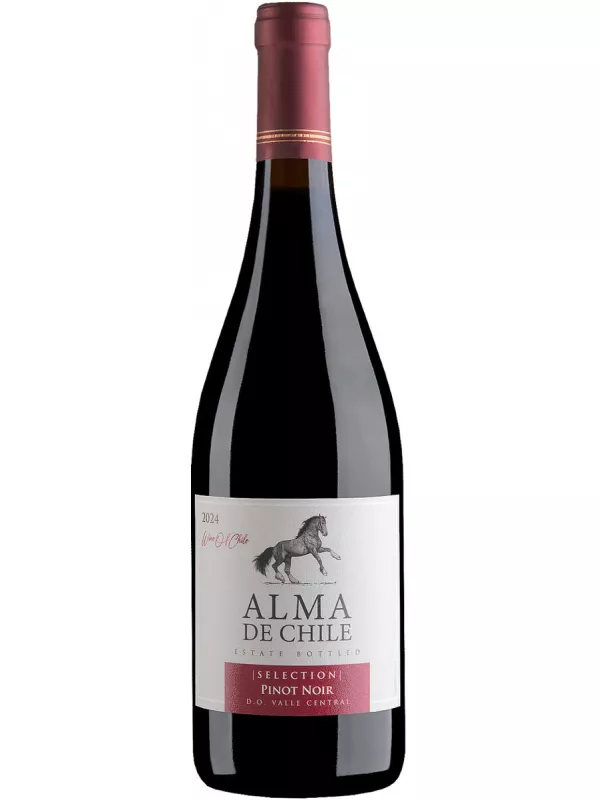 Alma de Chile Pinot Noir, Valle Central DO