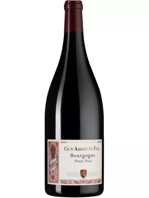 Вино Domaine Guy Amiot et Fils, Bourgogne Pinot Noir AOC 2022, 1.5 л