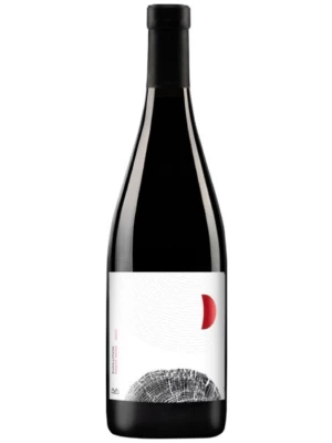 Вино Aya Organic Wine, "Evolution" Pinot Noir 2022, 0.75 л
