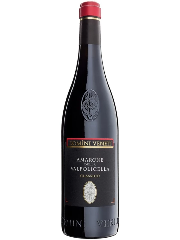 Domini Veneti Amarone della Valpolicella Classico DOC