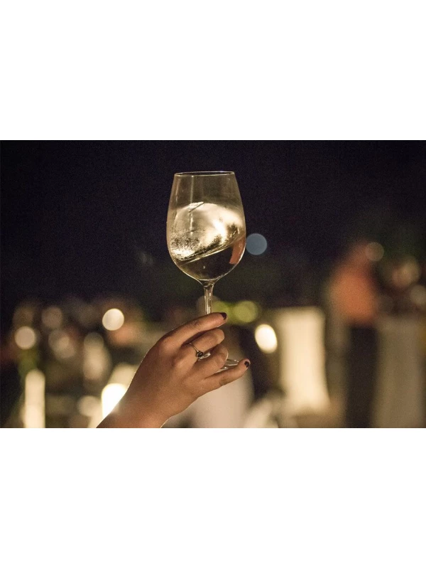 Jean Leon, 3055 Chardonnay, Penedes DO