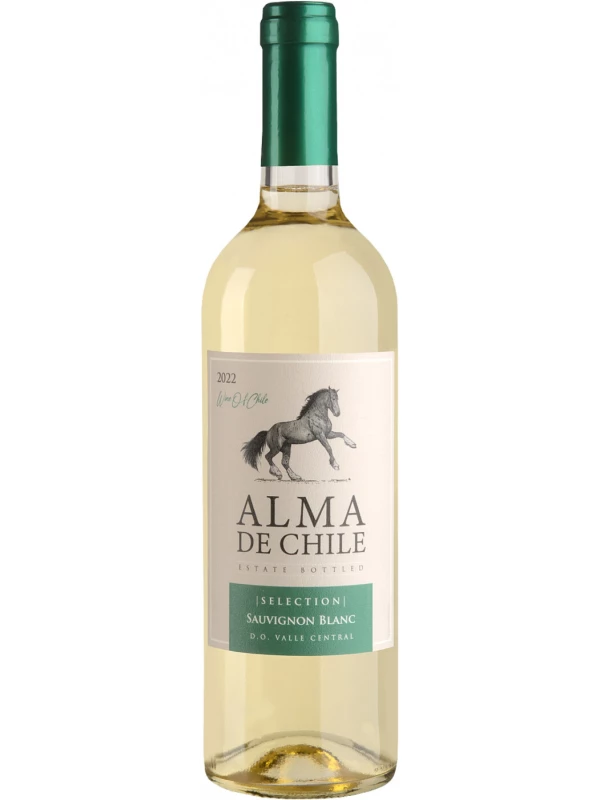 Alma de Chile Sauvignon Blanc, Valle Central DO