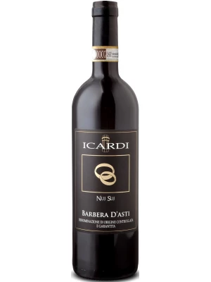 Вино Nuj Suj, Barbera d'Asti DOC 2015, 0.75 л