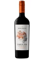 Santa Carolina, Reserva Carmenere, Cachapoal Valley DO — фото 1
