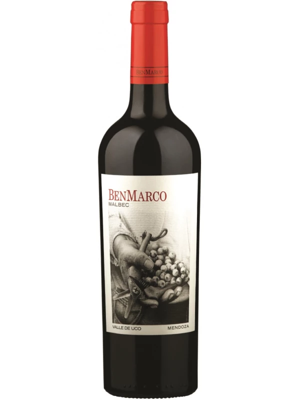 Dominio del Plata, BenMarco Malbec