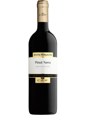 Вино Mastri Vernacoli Pinot Nero, Trentino DOC 2019, 0.75 л