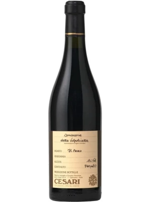 Вино Gerardo Cesari, Il Bosco Amarone della Valpolicella Classico DOC 2011, 0.75 л