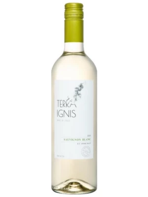 Вино Terra Ignis Sauvignon Blanc, Central Valley DO 2023, 0.75 л