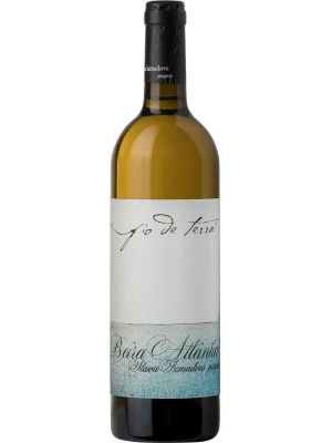 Вино Fio de Terra Branco, Beira Atlantico IGP 2014, 0.75 л