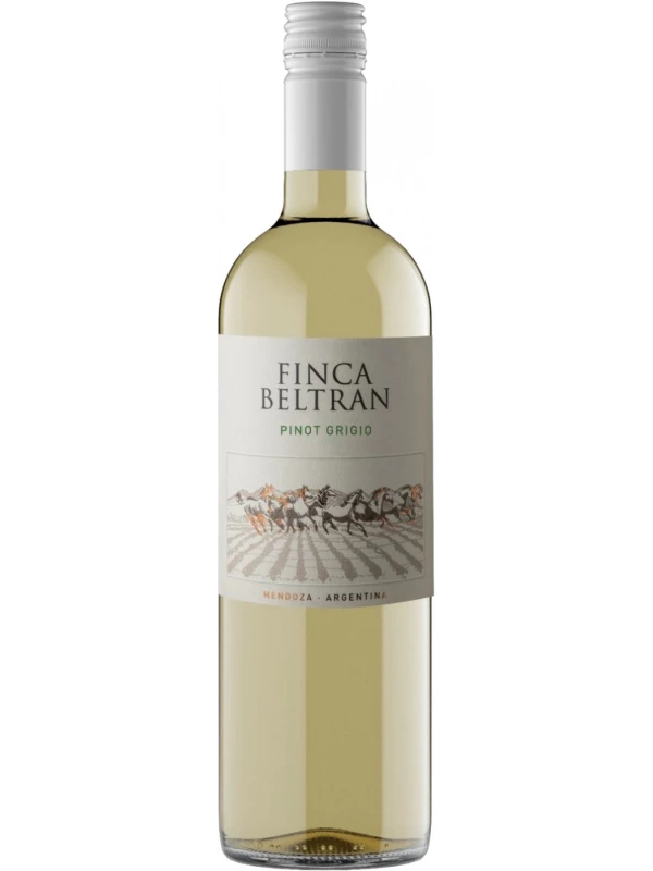 Finca Beltran Pinot Grigio