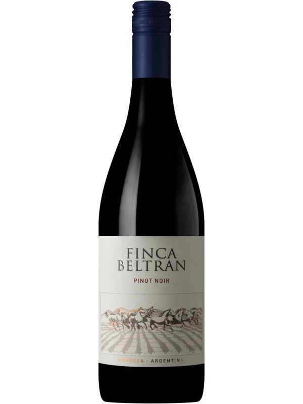 Finca Beltran Pinot Noir